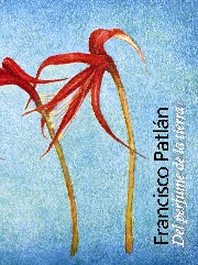 http://www.edicioneslarana.com.mx/index.php/ficha?autor_coleccion_editorial1Page=30&view=wrapper&lib_id=121
